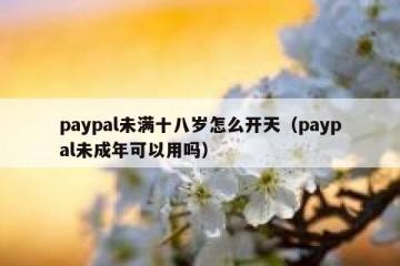 paypal未满十八岁怎么开天（paypal未成年可以用吗）