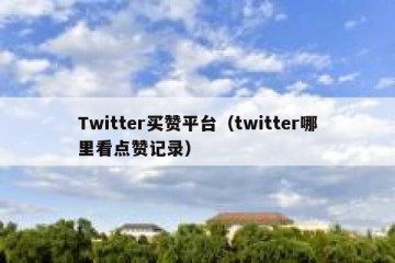 Twitter买赞平台（twitter哪里看点赞记录）