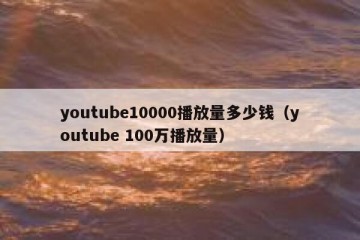 youtube10000播放量多少钱（youtube 100万播放量）