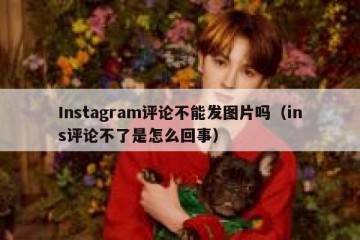 Instagram评论不能发图片吗（ins评论不了是怎么回事）