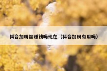 抖音加粉丝赚钱吗现在（抖音加粉有用吗）