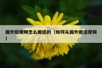 国外短视频怎么搬运的（如何从国外搬运视频）