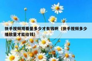 快手视频观看量多少才有钱啊（快手视频多少播放量才能给钱）