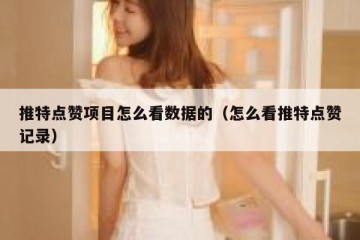 推特点赞项目怎么看数据的（怎么看推特点赞记录）