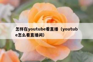 怎样在youtube看直播（youtube怎么看直播间）