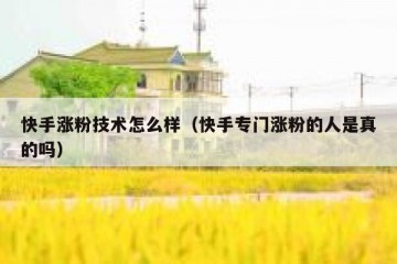 快手涨粉技术怎么样（快手专门涨粉的人是真的吗）