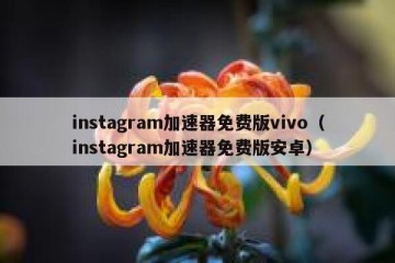 instagram加速器免费版vivo（instagram加速器免费版安卓）