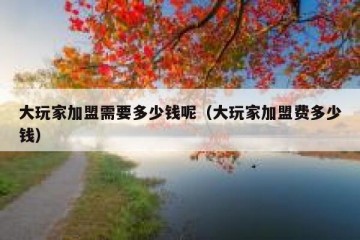 大玩家加盟需要多少钱呢（大玩家加盟费多少钱）