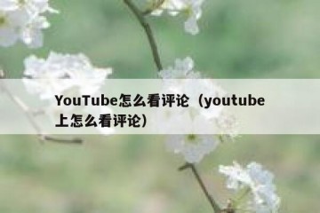 YouTube怎么看评论（youtube上怎么看评论）