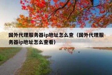 国外代理服务器ip地址怎么查（国外代理服务器ip地址怎么查看）