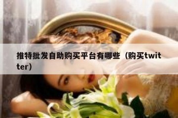 推特批发自助购买平台有哪些（购买twitter）