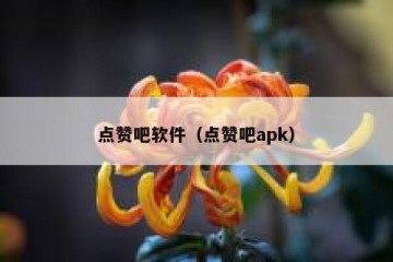 点赞吧软件（点赞吧apk）