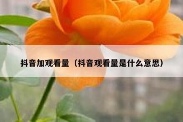 抖音加观看量（抖音观看量是什么意思）