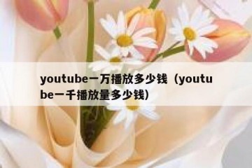 youtube一万播放多少钱（youtube一千播放量多少钱）