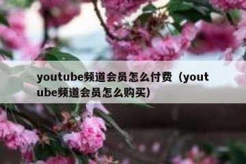 youtube频道会员怎么付费（youtube频道会员怎么购买）
