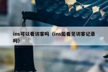 ins可以看访客吗（ins能看见访客记录吗）