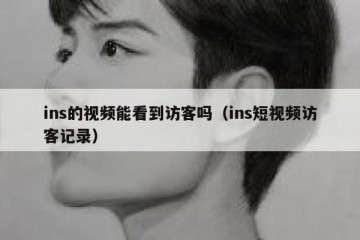 ins的视频能看到访客吗（ins短视频访客记录）