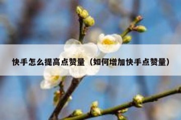 快手怎么提高点赞量（如何增加快手点赞量）