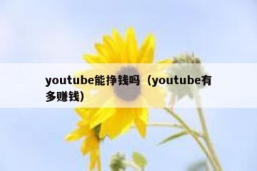 youtube能挣钱吗（youtube有多赚钱）