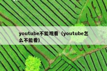 youtube不能观看（youtube怎么不能看）