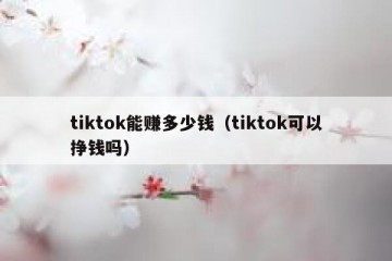 tiktok能赚多少钱（tiktok可以挣钱吗）