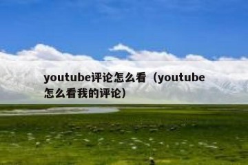 youtube评论怎么看（youtube怎么看我的评论）