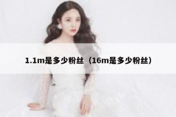 1.1m是多少粉丝（16m是多少粉丝）