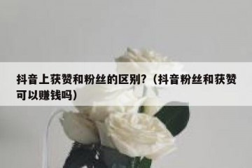 抖音上获赞和粉丝的区别?（抖音粉丝和获赞可以赚钱吗）