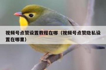 视频号点赞设置教程在哪（视频号点赞隐私设置在哪里）