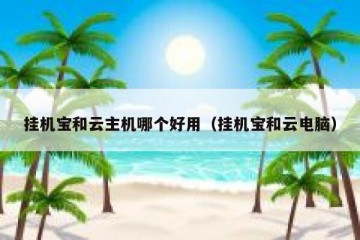 挂机宝和云主机哪个好用（挂机宝和云电脑）