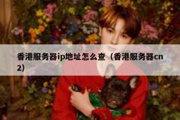 香港服务器ip地址怎么查（香港服务器cn2）