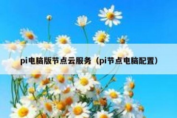 pi电脑版节点云服务（pi节点电脑配置）