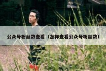 公众号粉丝数查看（怎样查看公众号粉丝数）