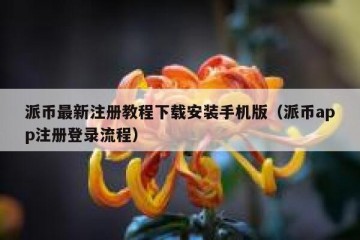 派币最新注册教程下载安装手机版（派币app注册登录流程）