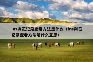 ins浏览记录查看方法是什么（ins浏览记录查看方法是什么意思）