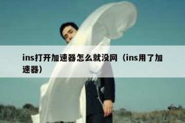 ins打开加速器怎么就没网（ins用了加速器）