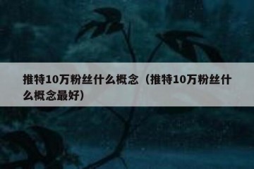 推特10万粉丝什么概念（推特10万粉丝什么概念最好）
