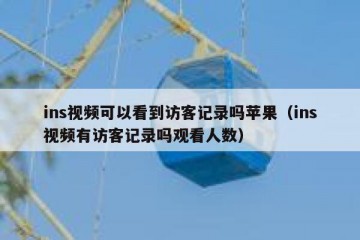 ins视频可以看到访客记录吗苹果（ins视频有访客记录吗观看人数）