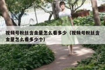 视频号粉丝含金量怎么看多少（视频号粉丝含金量怎么看多少个）