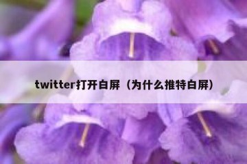 twitter打开白屏（为什么推特白屏）