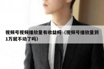 视频号视频播放量有收益吗（视频号播放量到1万就不动了吗）