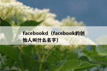 facebookd（facebook的创始人叫什么名字）