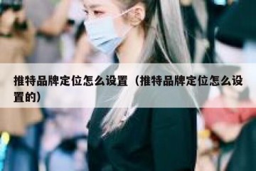 推特品牌定位怎么设置（推特品牌定位怎么设置的）
