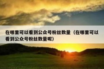 在哪里可以看到公众号粉丝数量（在哪里可以看到公众号粉丝数量呢）