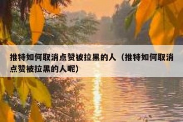 推特如何取消点赞被拉黑的人（推特如何取消点赞被拉黑的人呢）