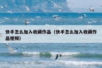 快手怎么加入收藏作品（快手怎么加入收藏作品视频）