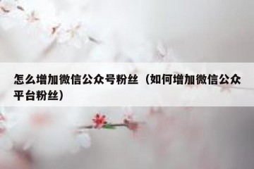 怎么增加微信公众号粉丝（如何增加微信公众平台粉丝）