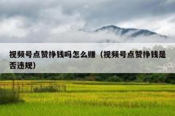 视频号点赞挣钱吗怎么赚（视频号点赞挣钱是否违规）