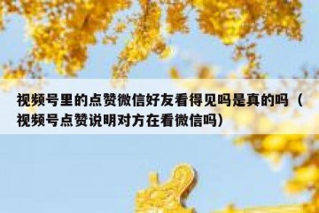 视频号里的点赞微信好友看得见吗是真的吗（视频号点赞说明对方在看微信吗）