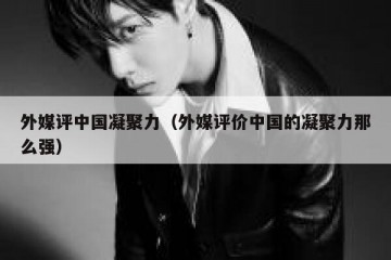 外媒评中国凝聚力（外媒评价中国的凝聚力那么强）